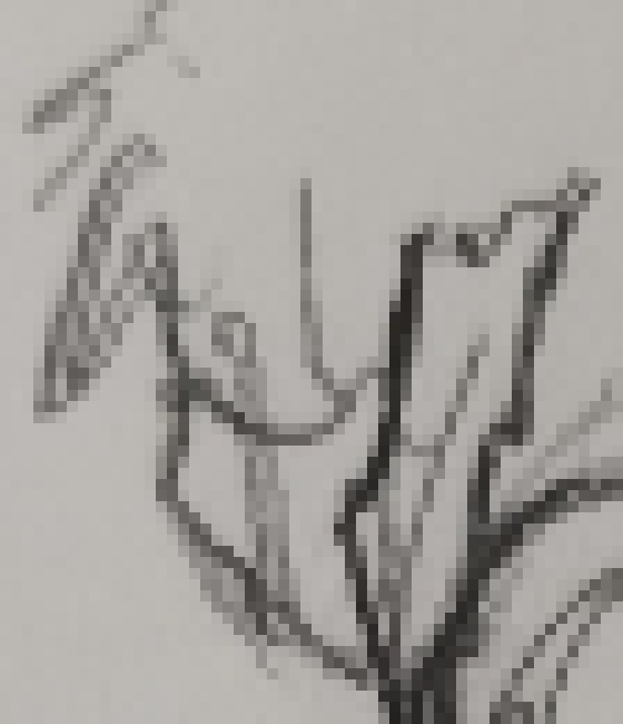 [816c09] You good, Bloob?