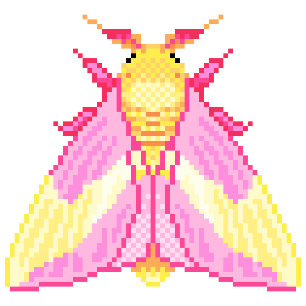 [dd8663] HighMoth