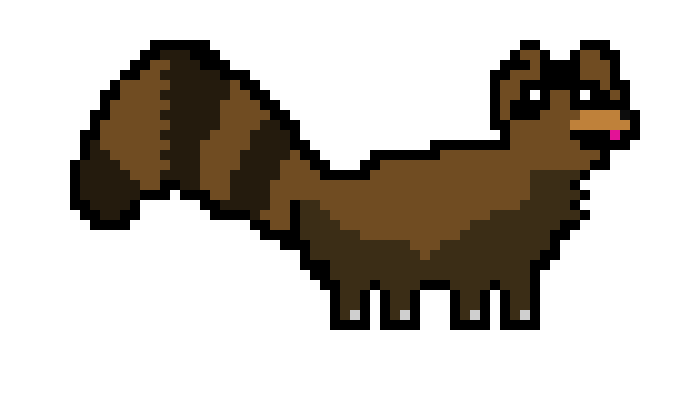 [b50344] raccoon