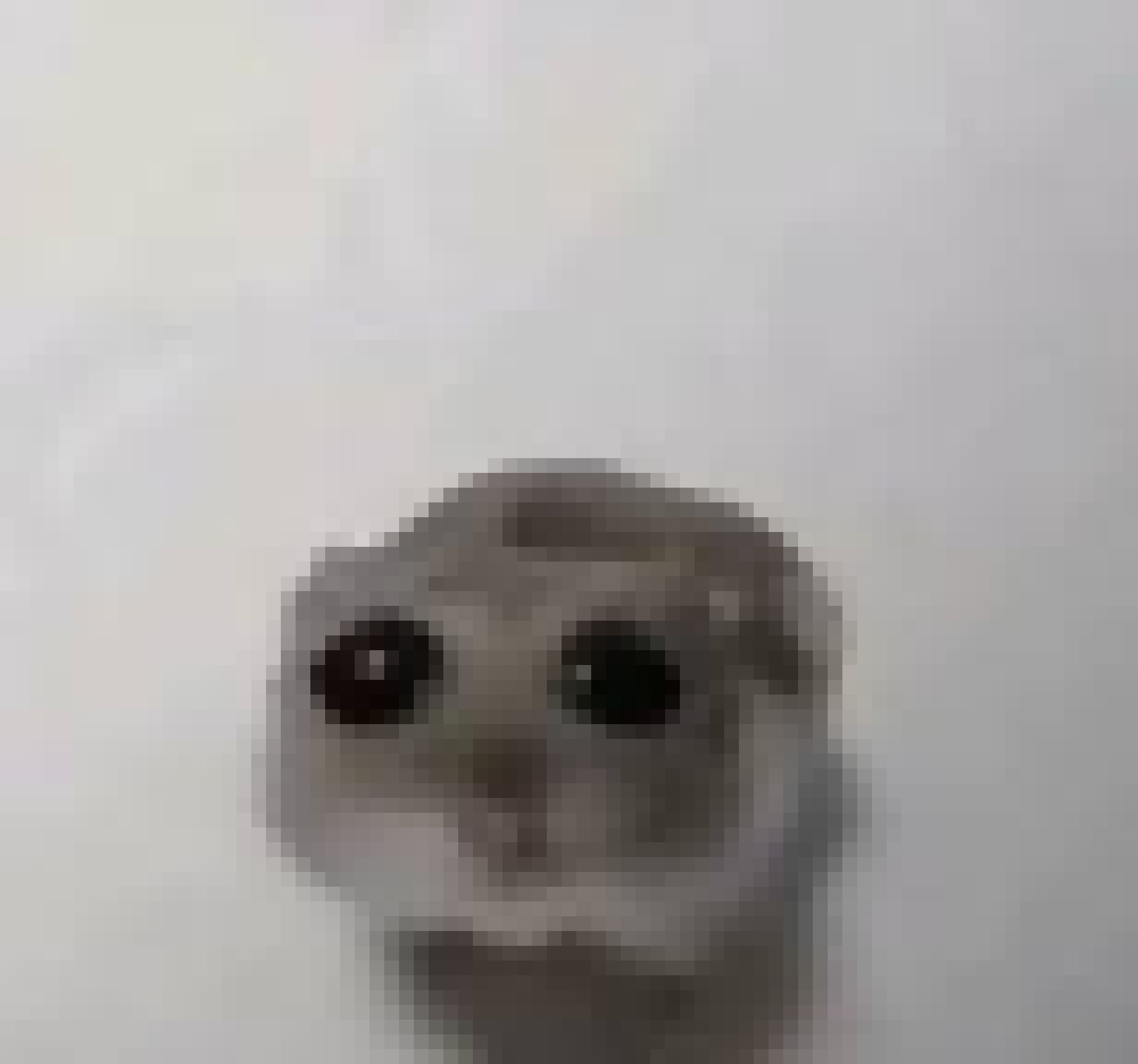 [34b455] Sad Hamster