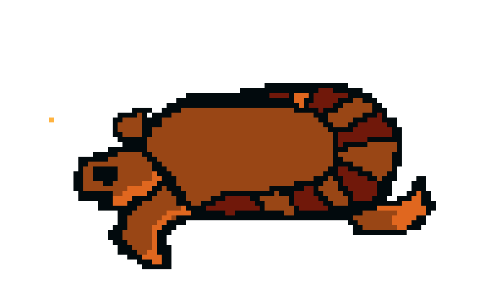 [9664c4] turtle
