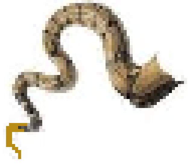 [63fe57] tail