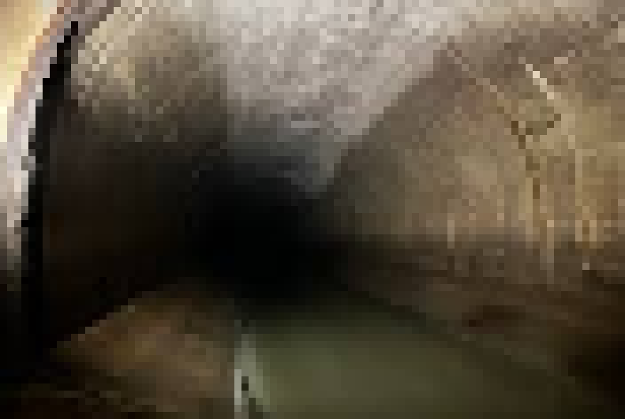 [bce8e5] SEEMINGLY AND DELL TURN: seemingly sees openings to the south and west. dell sees openings to the south and west.