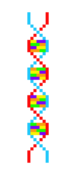 DNA