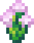[bbafc9] PurpleFlower1