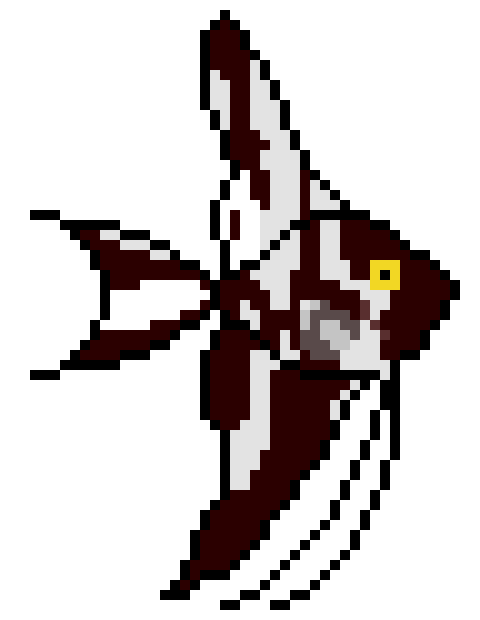 [ec860c] Angelfish