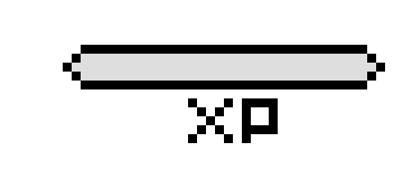 [404040] XP Bar. 1