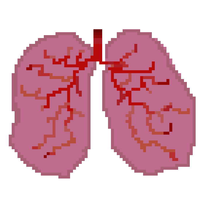 [401978] PIXEL LUNG
