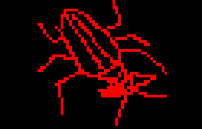[a14148] your a dark spider so are you a  Dictyna pusilla or Emblyna mitis 