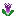 [9013da] datura