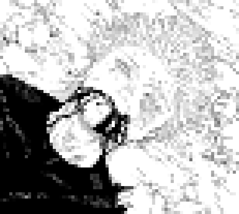 [006d2b] Jack.