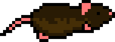 [4d21e6] rat_walk1