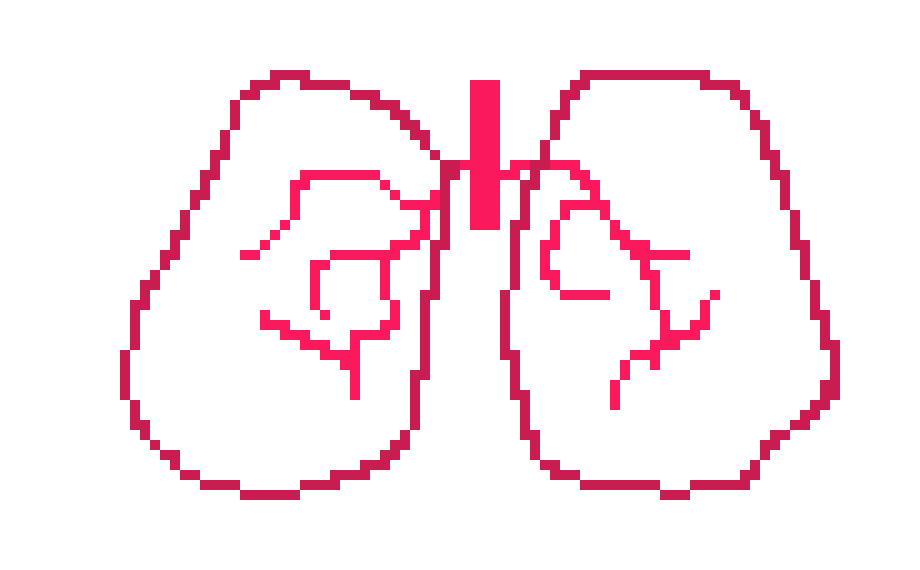 [401978] Pixel Lungs