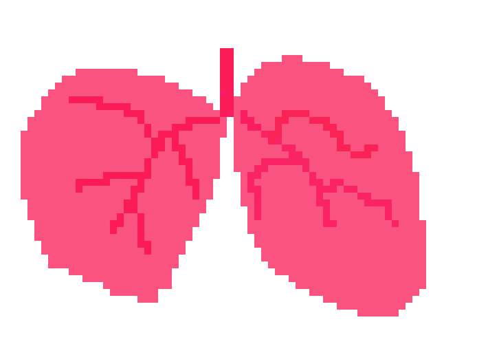 [401978] pixel lungs