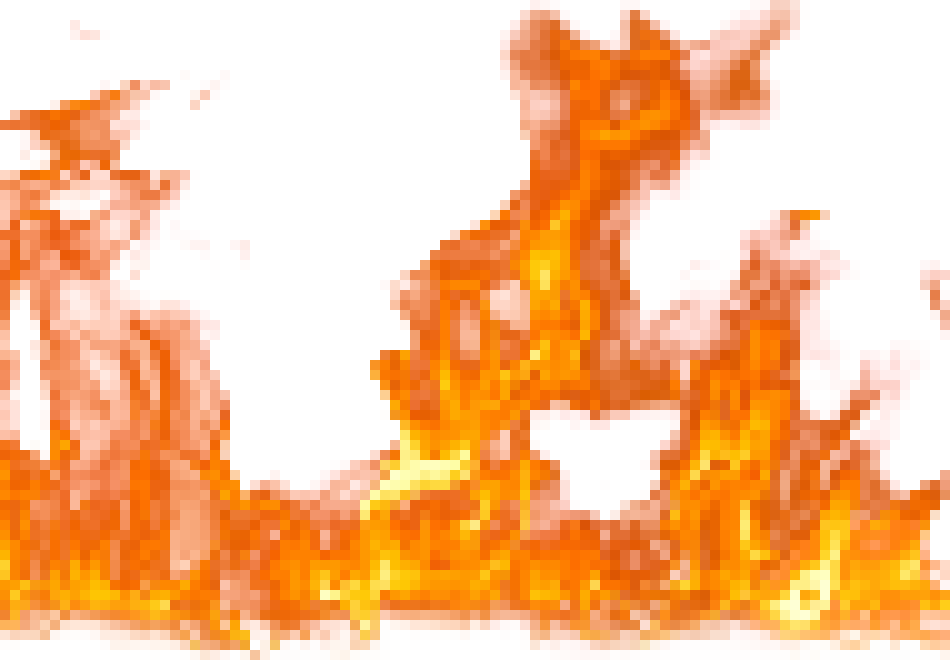 [33cc46] Fire
