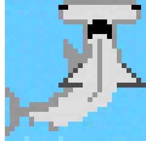 [f138b1] shark