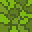 [537102] Leaves