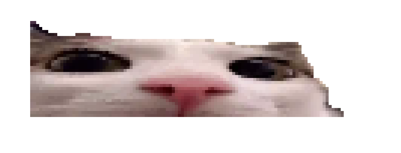 [21ad3e] plink ohnepixel sussy baka