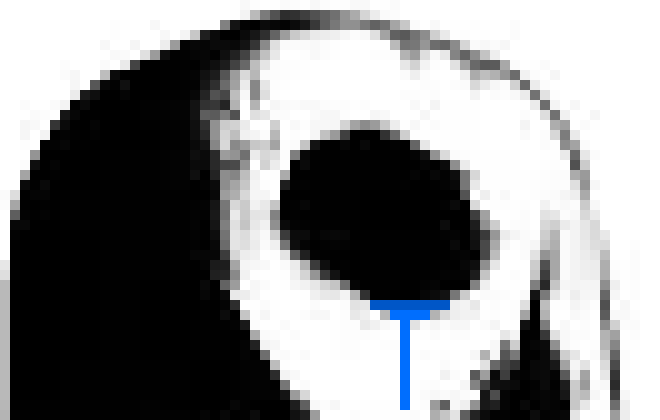 [71fafd] THAT DOESN'T EXPLAIN WHY THEY JUST DISAPPEAR RANDOMLY AND NEVER COME BACK