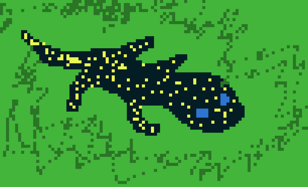 [9664c4] Alex's Tiger Salamander