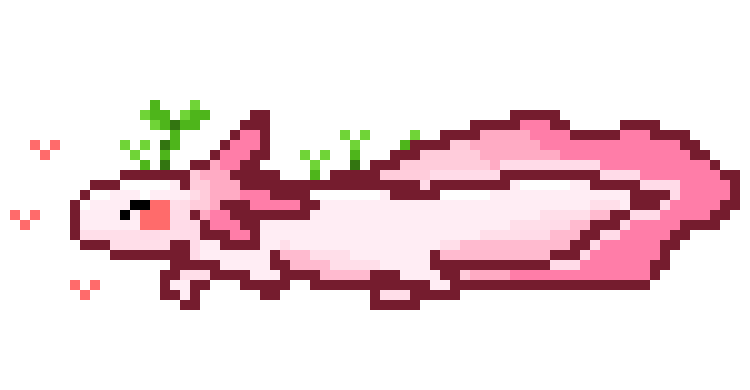 Axolotl