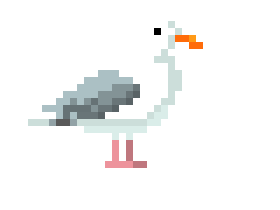 Seagull 1