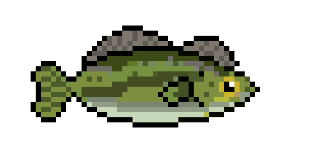 [650301] Largemouth Bass