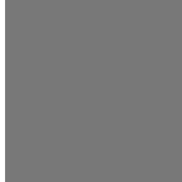 [778216] 32x32 Right lane - white line