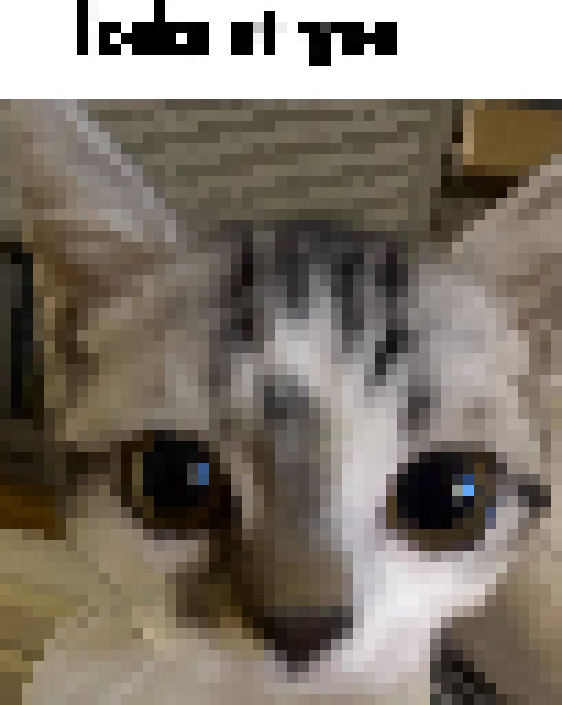 [c2acbc] looks at you