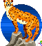 [b8710f] animal_nhung_3
