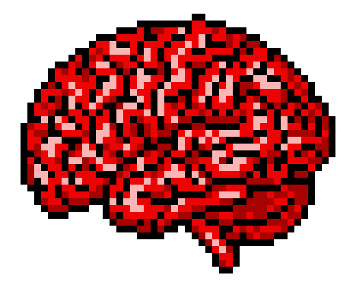 Brain