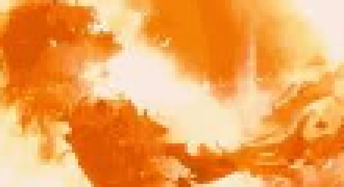 [99bd4d]  
