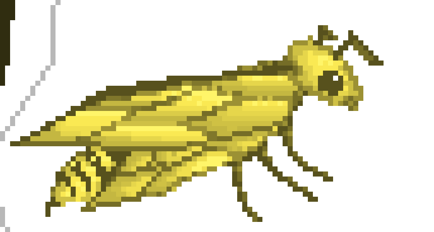 [64acf2] wasp