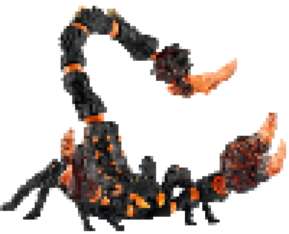 [dbb3e2] scorpion