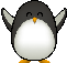 [859655] pengiun