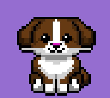 [884b43] cachorro fofinho