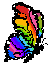 [dfdafc] Butterfly