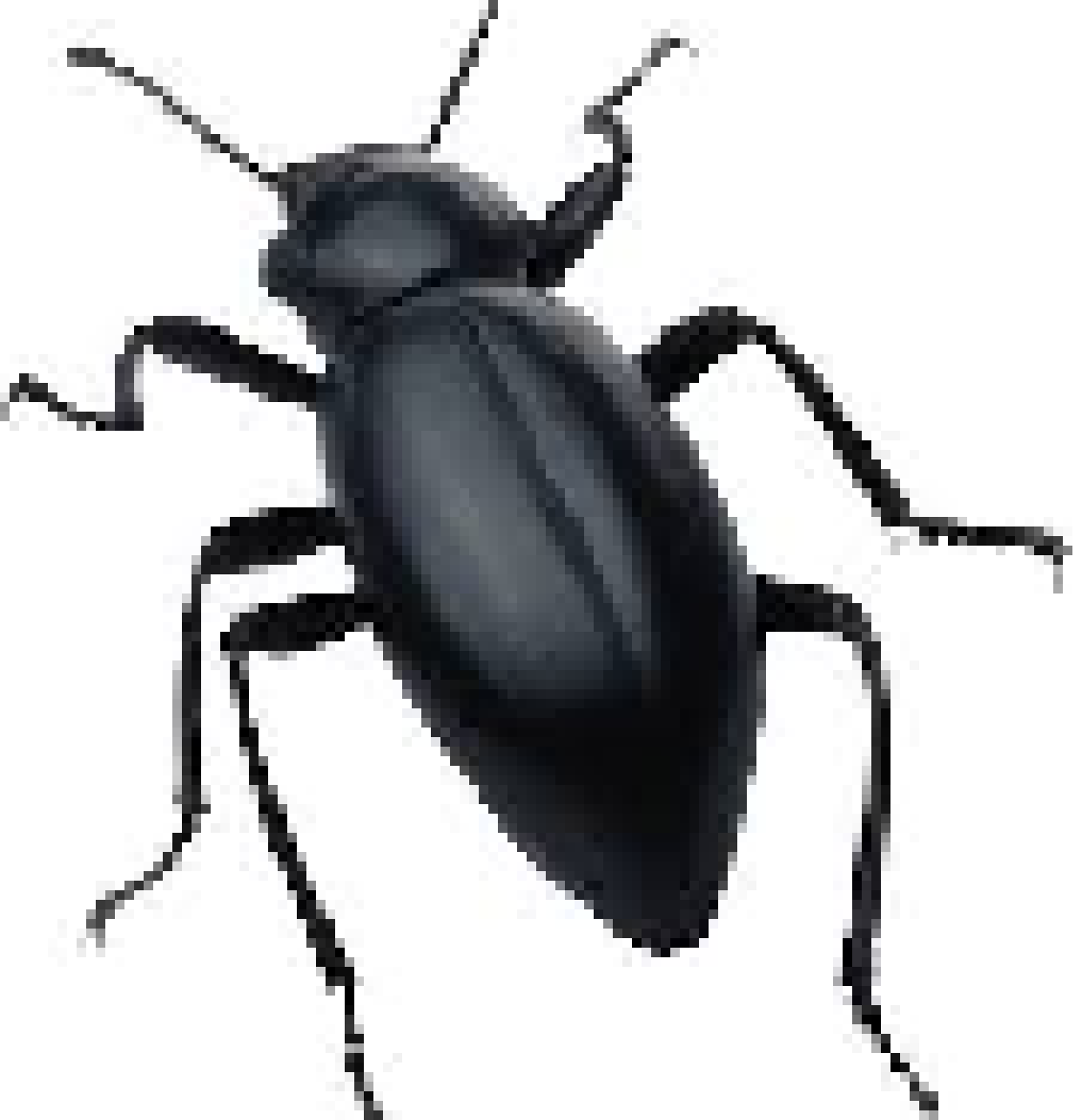 [0835f6] bug