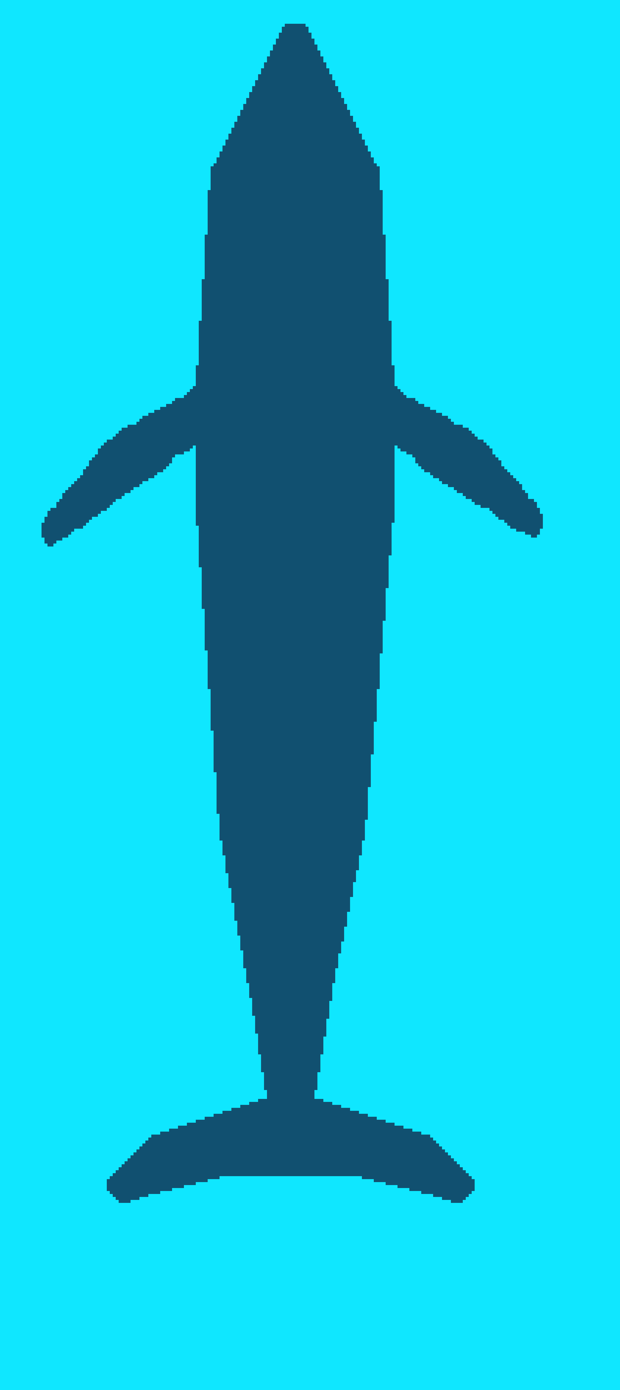 whale skateboard
