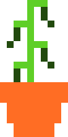 [df8de1] Jalapeno 4