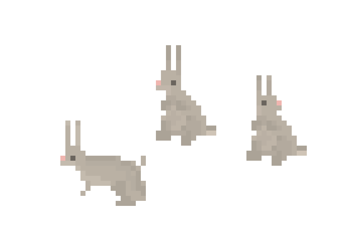 [9664c4] bunnies