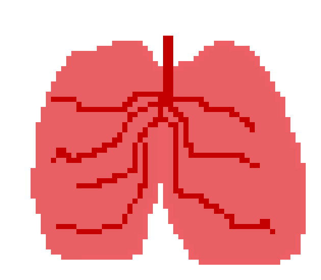 [401978] pixel lungs