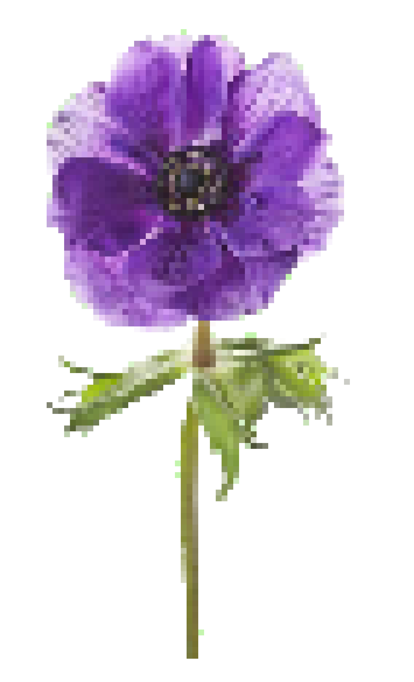 [93bd05] purple flower