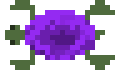 [9664c4] turtle
