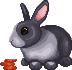 [e7d875] easter_ca_16