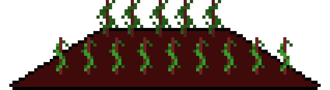 [c282f2] Farmland-tomato-grow-stage1