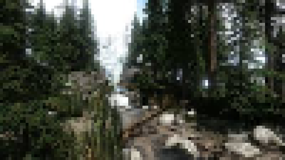 [b85e89] ARK