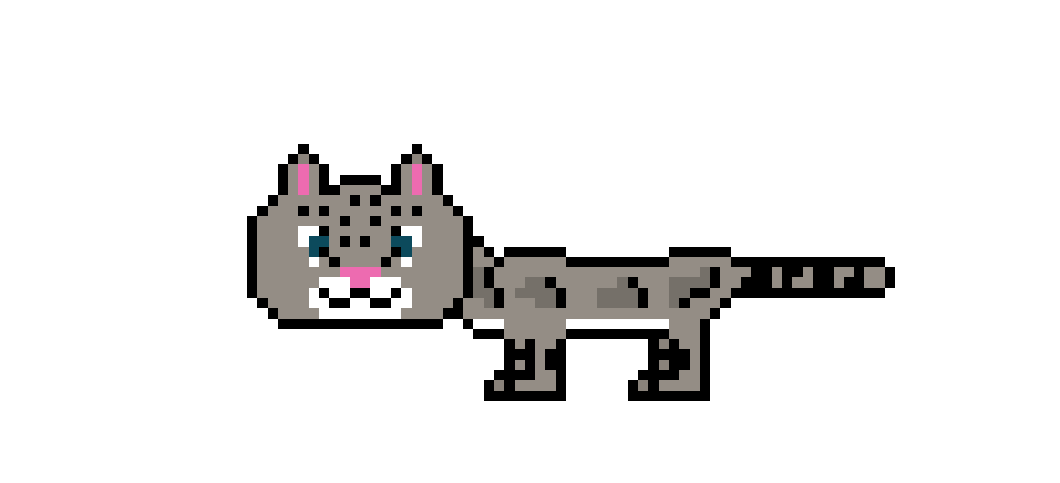 [9664c4] Clouded Leopard