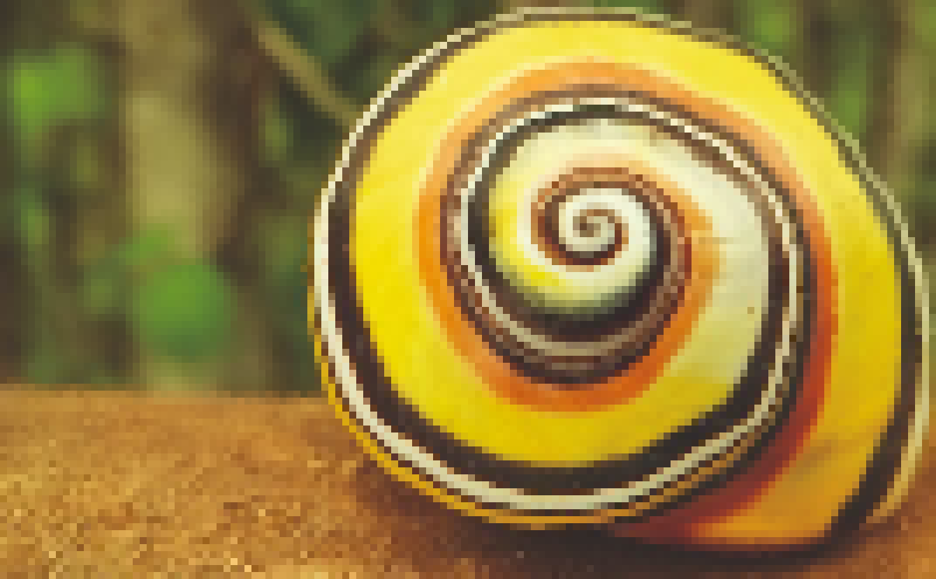 [d20093] pixel-snail