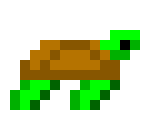 [392502] Turtle